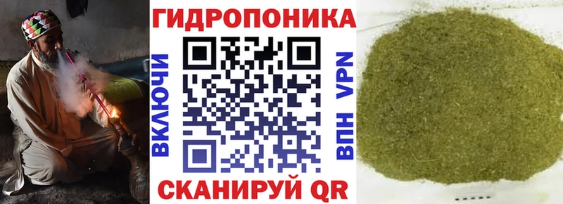 Шишки марихуана White Widow  Купить закладки  Электрогорск 